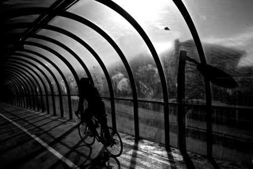 Brian Carroll dace in an open car window